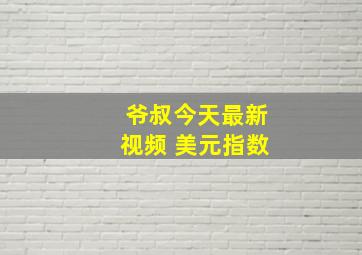 爷叔今天最新视频 美元指数